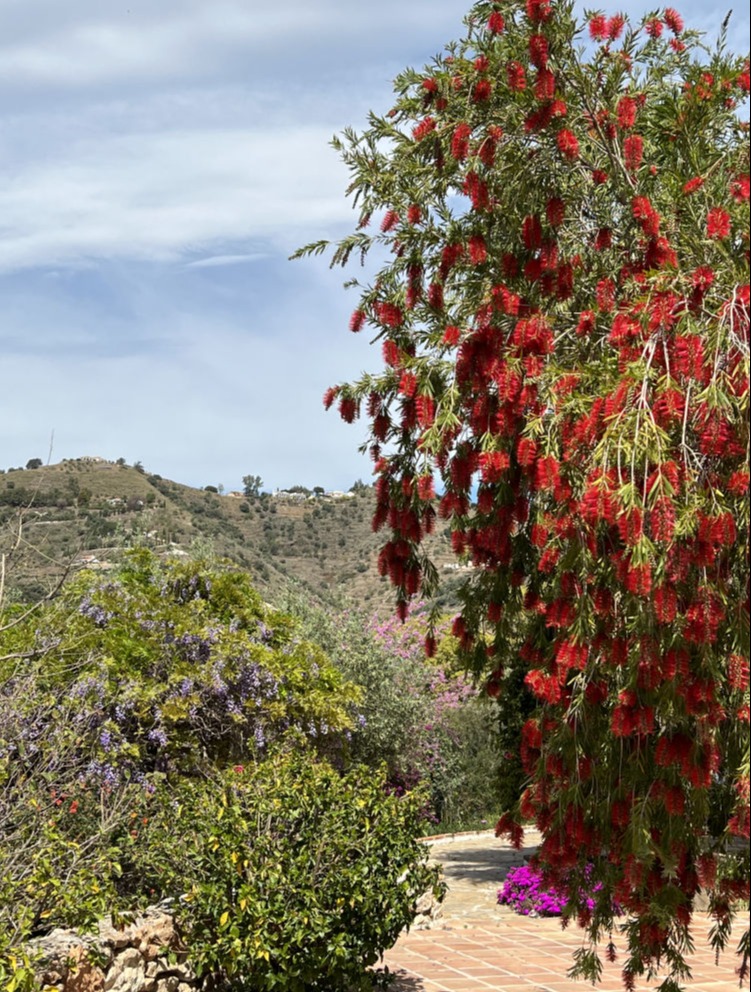 Luxury holiday home with pool - owner direct rental Competa Andalusia