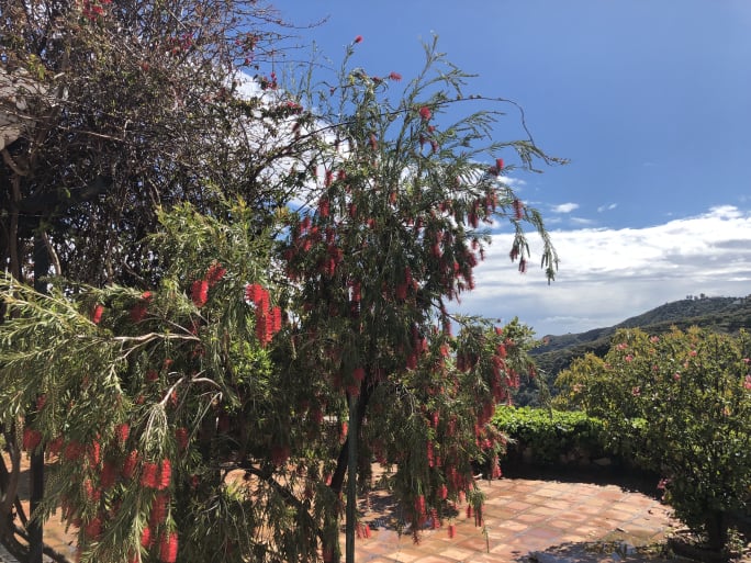 Luxury holiday home with pool - owner direct rental Competa Andalusia