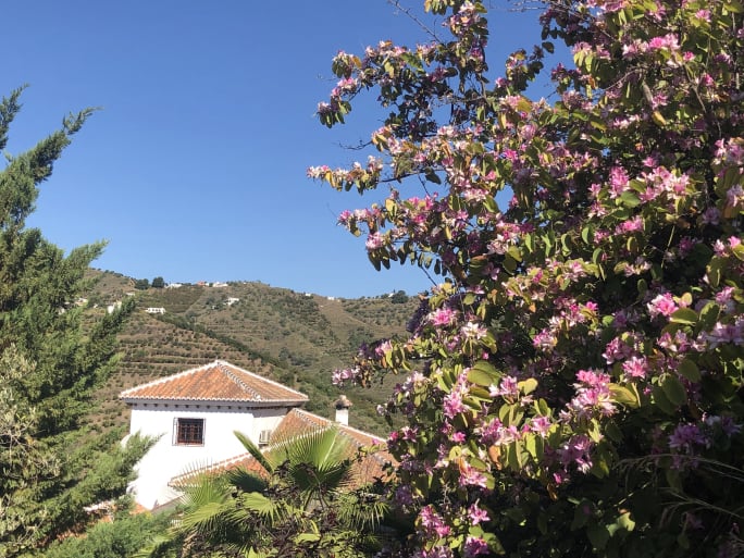 Luxury holiday home with pool - owner direct rental Competa Andalusia