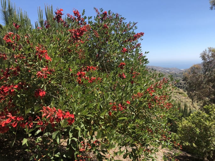 Luxury holiday home with pool - owner direct rental Competa Andalusia
